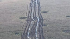 На Луганщині російські окупанти будують багатошарову захисну лінію