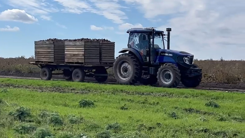 На Донеччині зібрано врожай ранніх зернових та зернобобових культур