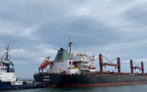 З одеських портів вийшли судна з більше ніж 100 тисяч тонн агропродукції: куди прямують