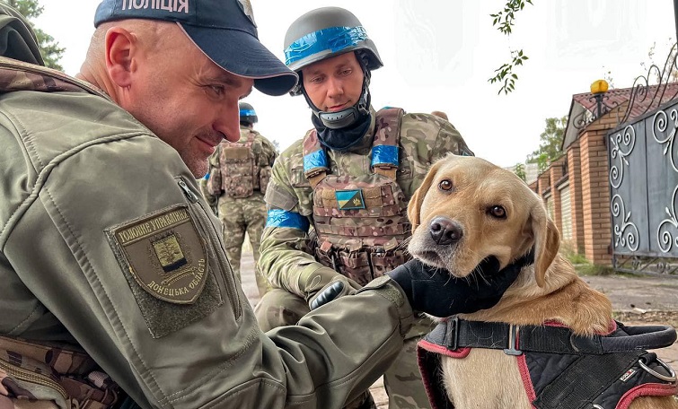 Як службові собаки допомагають повернути безпеку в деокуповані міста Донеччини