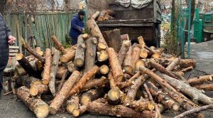 У Святогірській громаді почали доставляти людям дрова  для опалення