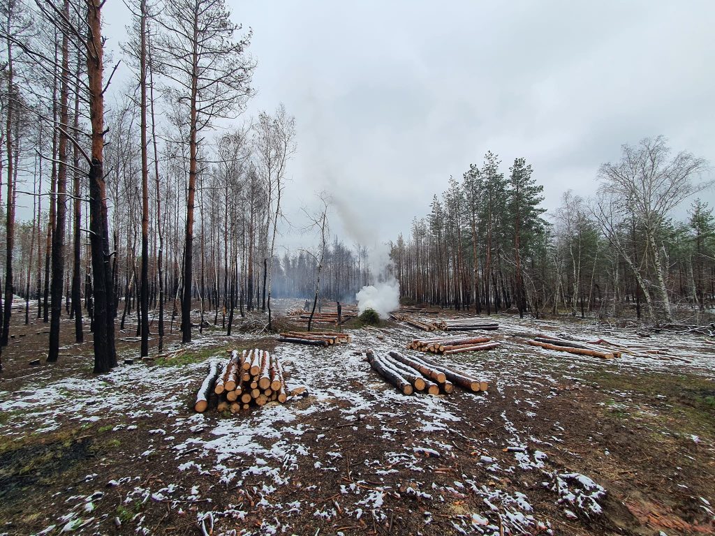 Лиманський лісгосп розпочав роботи із ліквідації наслідків бойових дій