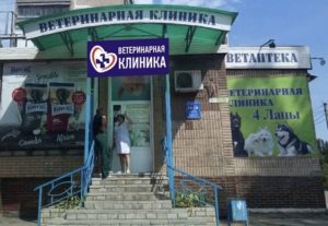 Як працює ветеринарна клініка «4 Лапи» у Слов’янську під час війни