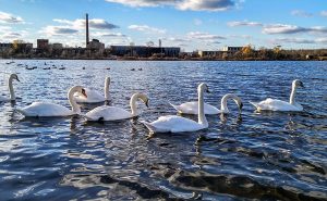 Как сейчас выглядит Славкурорт. Фото