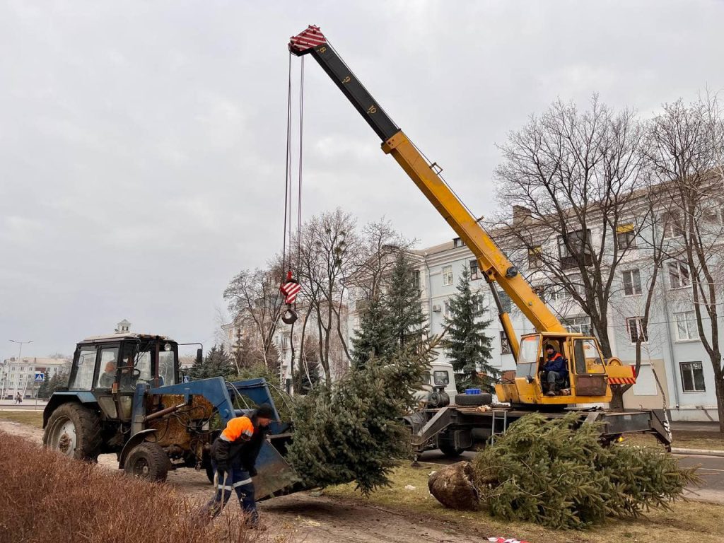 У центрі міста Краматорська висадили перед Новим роком 50 ялинок