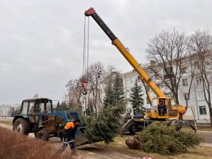 У центрі міста Краматорська висадили перед Новим роком 50 ялинок