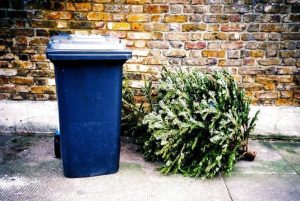 Що робити з ялинкою після свят — корисні поради