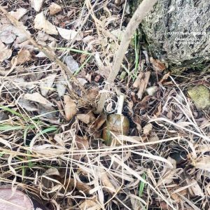 Що робити, якщо виявили вибухонебезпечний предмет