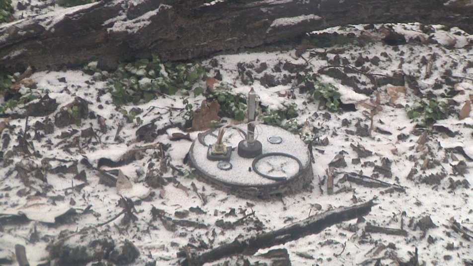 Леса Донетчины: мины, гранатометы, боеприпасы почти под каждым деревом