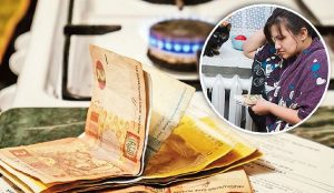 Смогут ли все желающие получить субсидии?