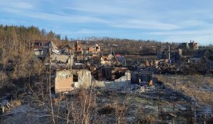 Зруйновані будинки, дерева без верхівок та ведмідь на згорілому авто: як виглядає Богородичне сьогодні