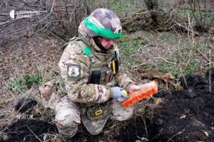 На звільненій території Донецької області троє людей підірвались на мінах: є загиблі