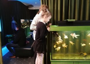 У Краматорську попри війну продовжує роботу акваріум «Дивовижні рибки»