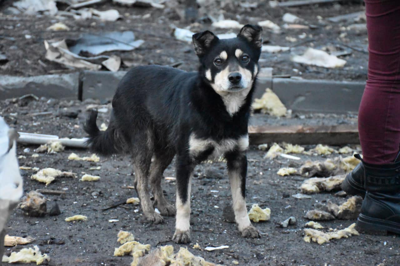 333174563 474221721445119 8275811798441259102 n