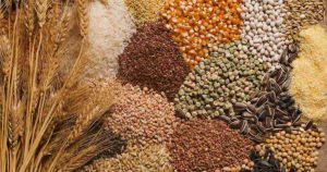 Як врятувати крупу від круп’яного жучка: лайфхаки, щоб по квартирі не літала жирна міль