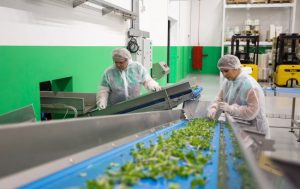 Українці готові повертатися додому з Європи для відбудови країни, – експерти