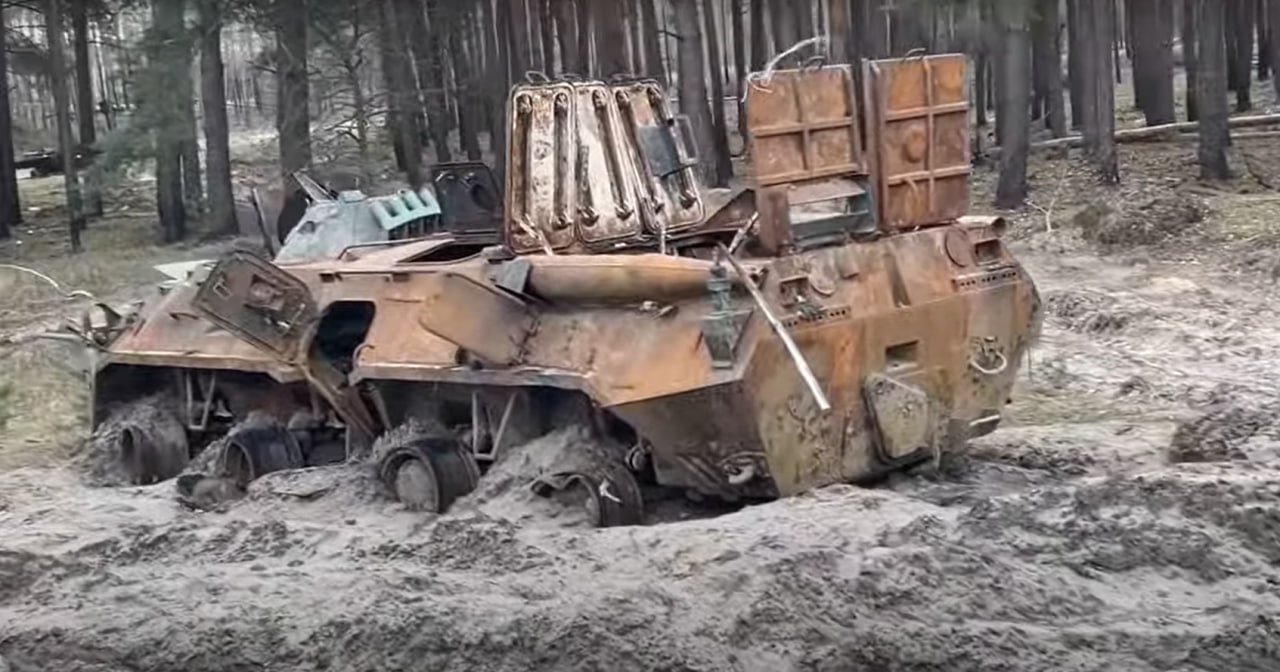 photo 5409311233011729730 y