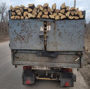 Спиляну деревину без документів виявили патрульні в кузові зупиненої автівки