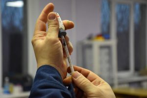 У Краматорську масово стерилізуватимуть безпритульних тварин