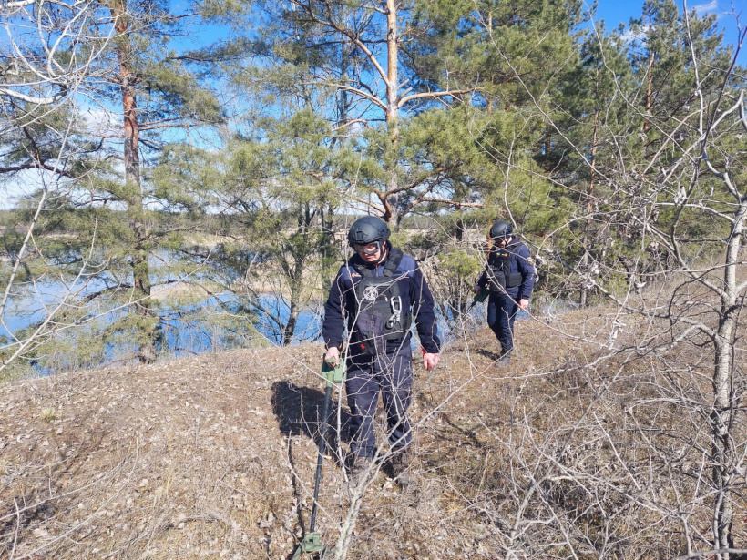 Піротехніки продовжують розмінування території Донеччини