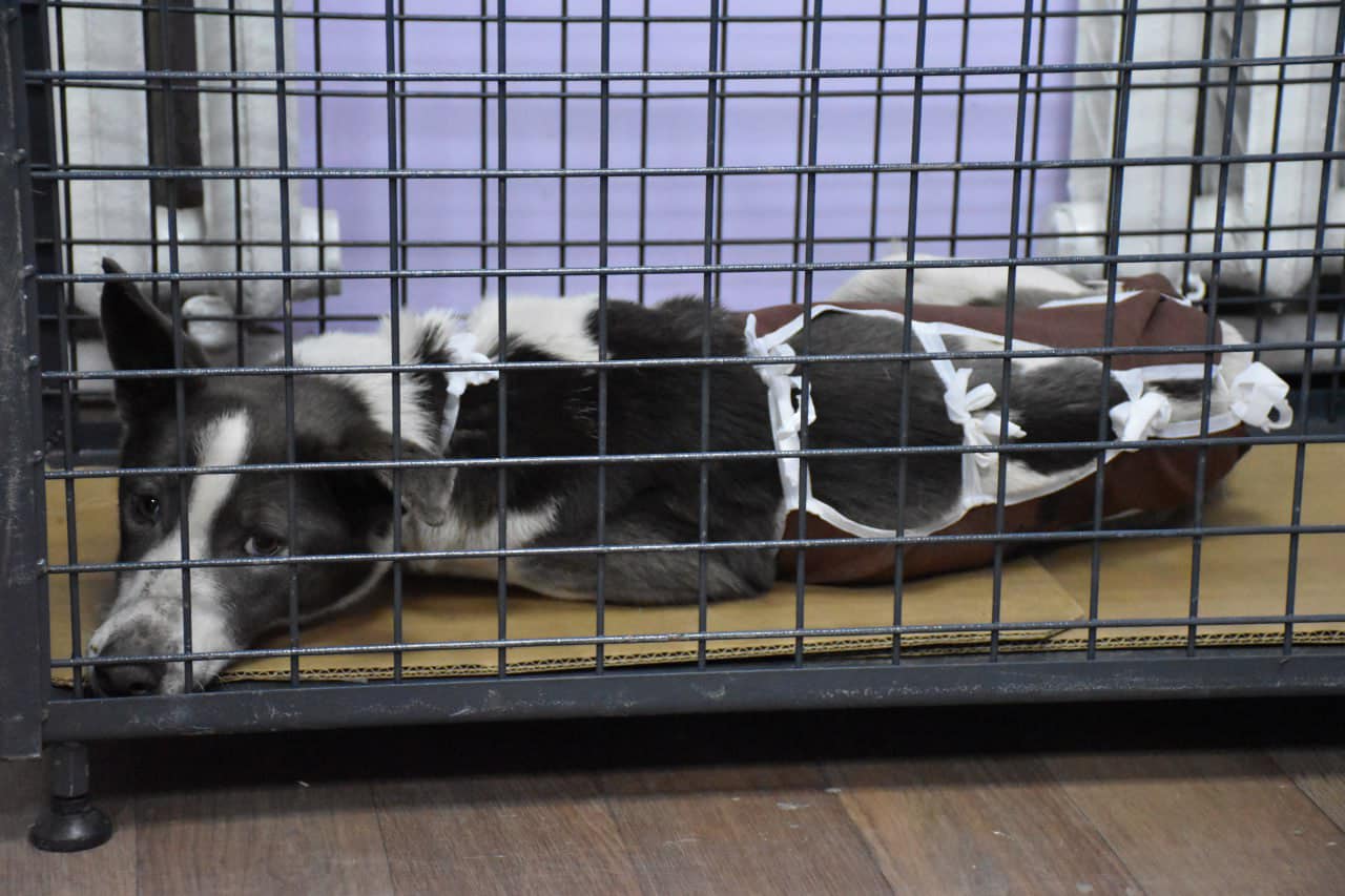 334982473 251766927183038 3659777979940971491 n