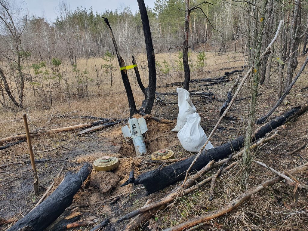 Триває розмінування лісів навколо міста Лиман