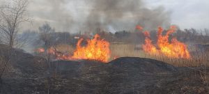Донеччина потерпає від пожеж через спалення сухої рослинності