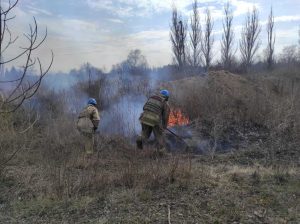 На Донеччині спостерігається тенденція росту кількості пожеж на відкритих територіях
