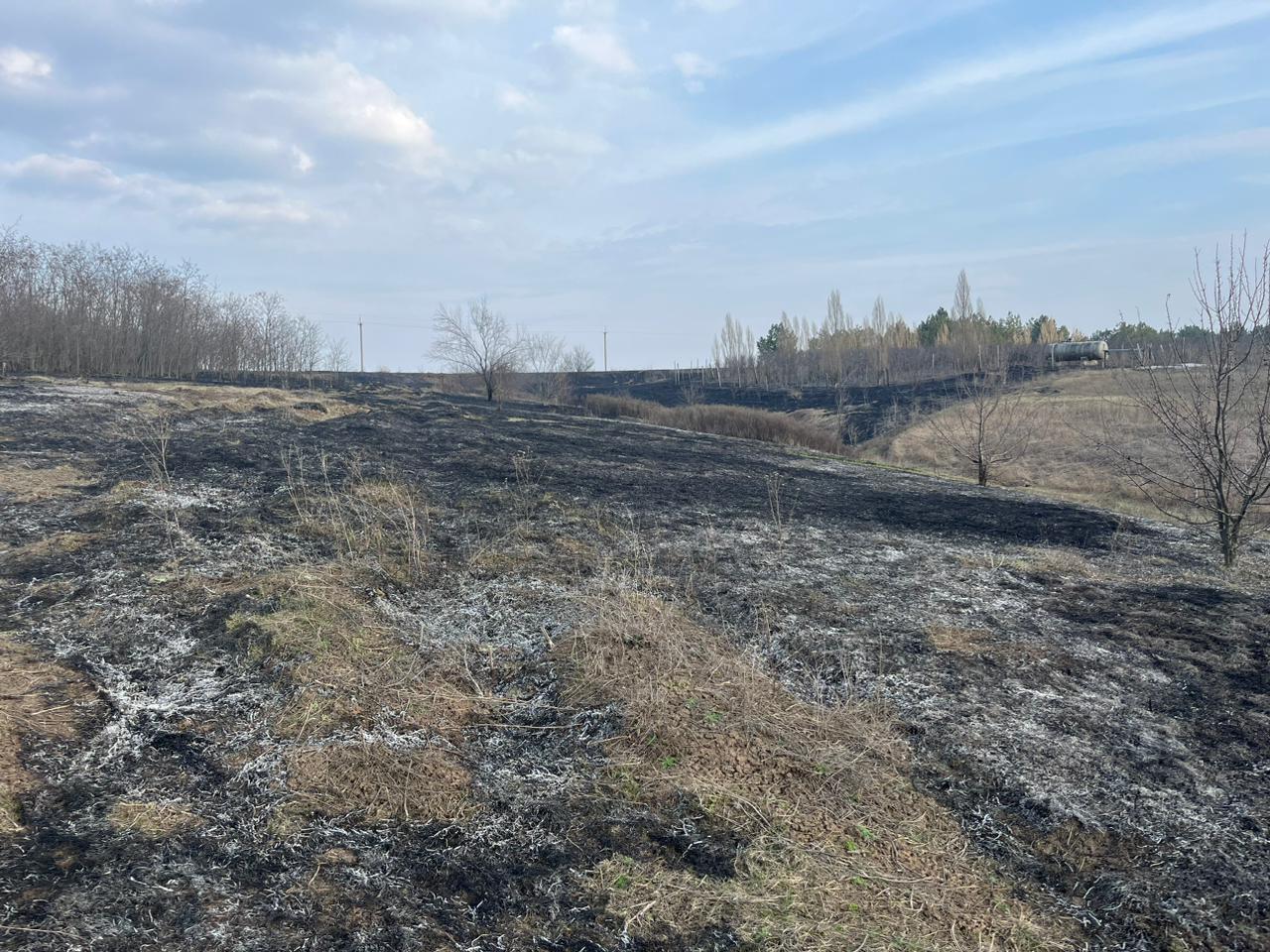 337675816 160030606968837 3132159234956239866 n