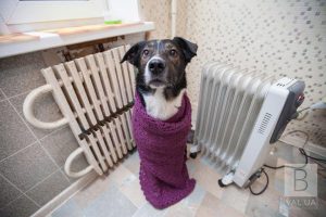 В Раді розповіли, коли українцям можуть почати вимикати опалення