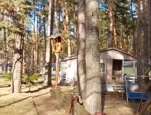 Сонце світить, але душу не гріє: як виглядають сьогодні бази оздоровлення та відпочинку у Святогірську (видео)