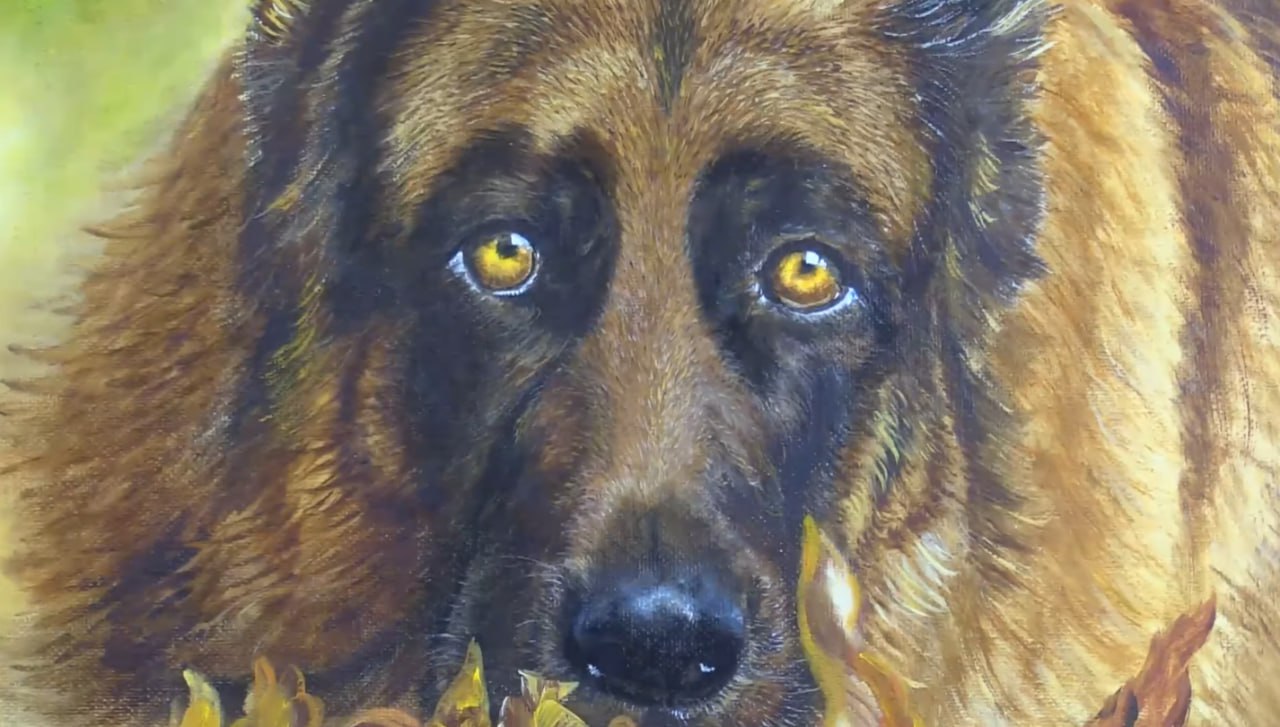 photo 5201658734005308154 y