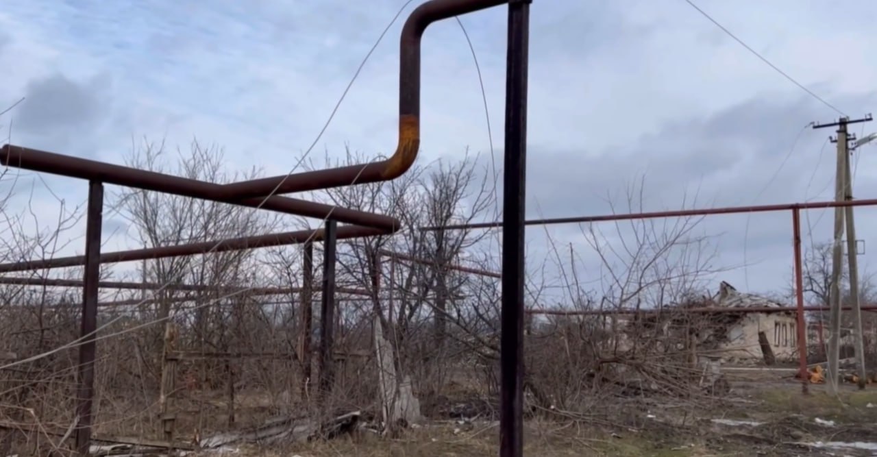 photo 5264961694340334848 y