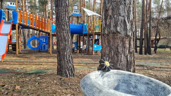 Як створювався та виглядає зараз «Казковий ліс» у Святогірську і до чого тут ВПО