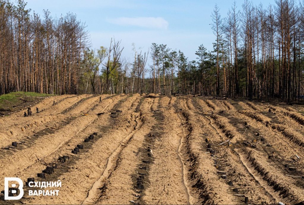У ДП “Лиманський лісгосп” запрацювала власна пилорама