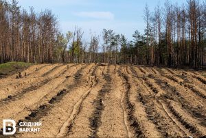 У ДП “Лиманський лісгосп” запрацювала власна пилорама