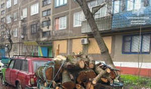 Патрульні продовжують виявляти у Краматорську, ймовірно, незаконно порублену деревину