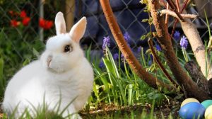 Церковний календар на квітень 2023: головні дати