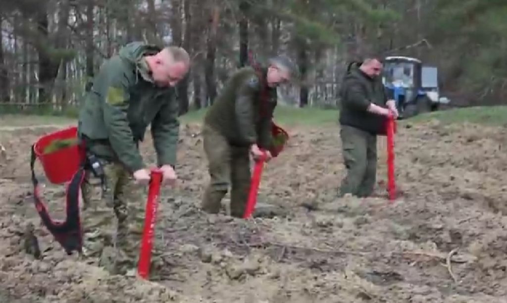 Лісівники з Лиманського лісгоспу висадили понад 9 тисяч саджанців в розмінованих лісах Донеччини