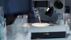 COVID-19 далеко не останній: у найближчі 10 років світ може охопити ще одна смертоносна пандемія