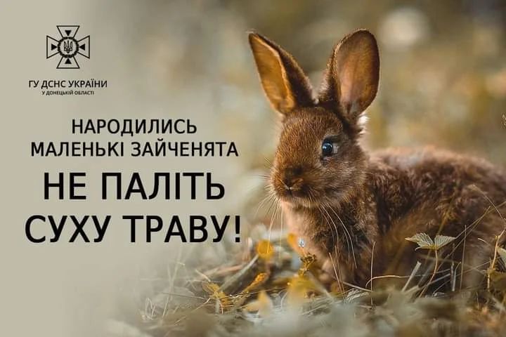 slovyanski vidomosti 99