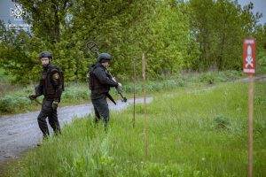 Піротехніки ДСНС за добу виявили на Донеччині 111 вибухонебезпечних предметів