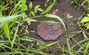 Відпочивати на природі біля Словʼянська зараз не можна – Вадим Лях