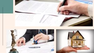 Правила спадкування в Україні знову змінилися — коли йти до нотаріуса