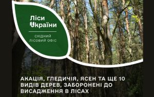 В лісах Східного лісового офісу заборонили висаджувати акацію, гледичію, ясен та ще низку дерев
