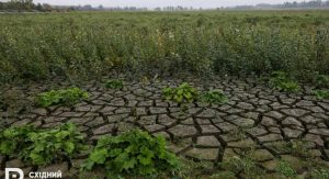 Стало відомо, скільки збитків війна завдала підприємствам аграрно-промислового сектору Донеччини