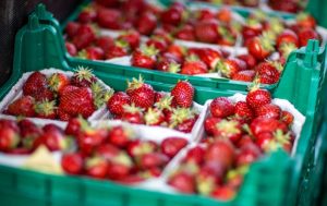 Як вибрати полуницю на ринку: “без хімії”, смачну, солодку та соковиту