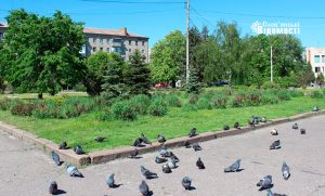 Мешканцям Слов’янська пропонують роботу