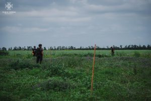 Вибухонебезпечні предмети: піротехніки продовжують обстежувати території Донеччини