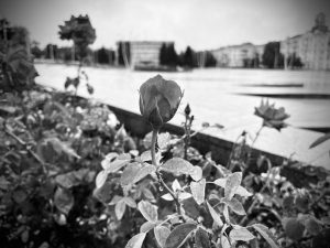 30 червня, 1 та 2 липня оголошено днями жалоби за всіма, хто загинув в результаті ракетного удару по Краматорську 27 червня